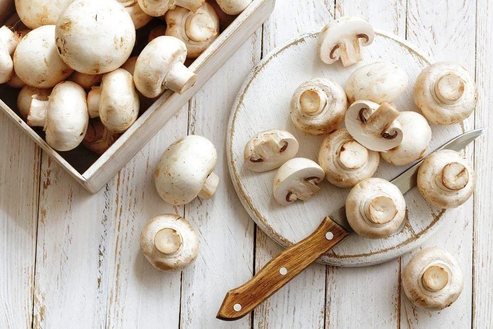 Canned Food Canned Fresh Mushroom with Private Label